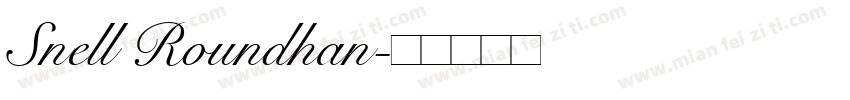 Snell Roundhan字体转换